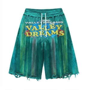 Valley Dreams Retro Acid Wash Distressed Shorts