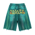Valley Dreams Retro Acid Wash Distressed Shorts back